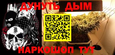 шишки Бузулук