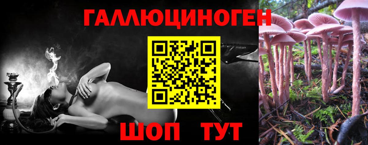 Псилоцибиновые грибы мицелий Нижний Новгород