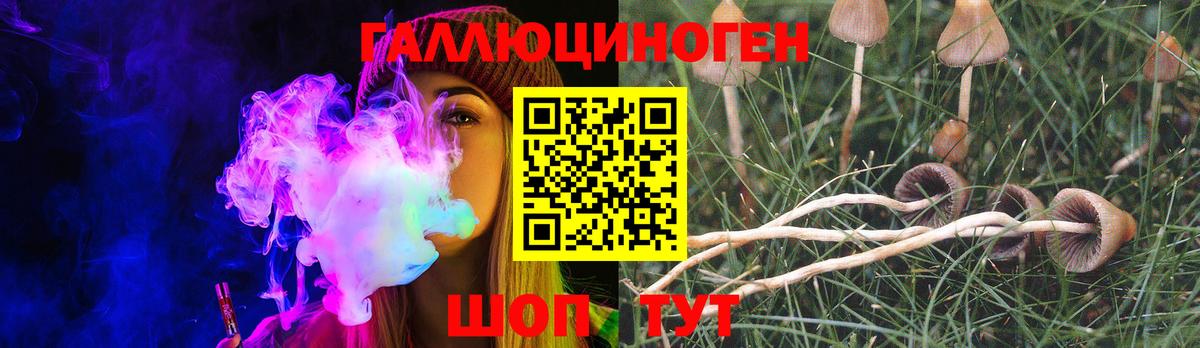 Нижний Новгород  Галлюциногенные грибы MAGIC MUSHROOMS  Галлюциногенные грибы GOLDEN TEACHER  Вход с VPN 
