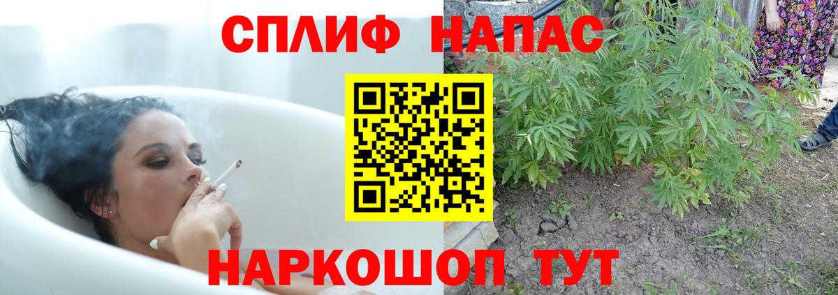 Бошки марихуана гибрид  Бошки марихуана THC 21%  Вход с VPN  Шишки марихуана Bruce Banner  Нижний Новгород 